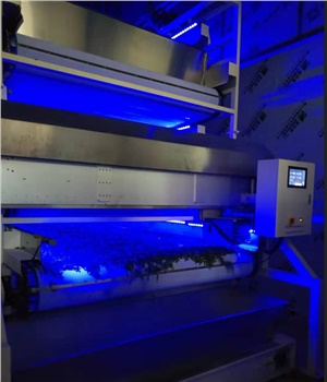 全自動(dòng)紅茶生產(chǎn)線