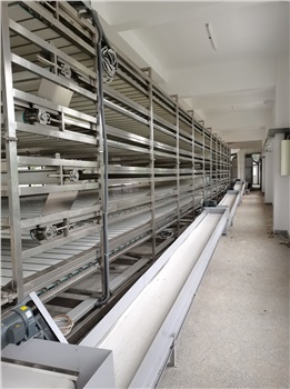 白茶初制生產(chǎn)線