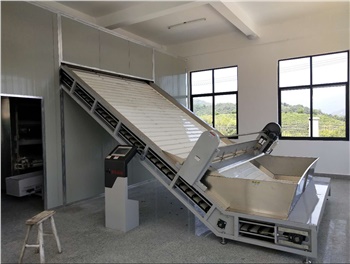 白茶初制生產(chǎn)線