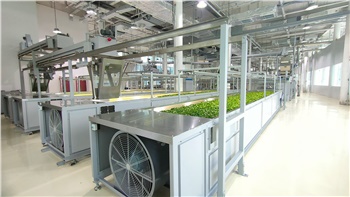 自動化紅綠茶生產(chǎn)線